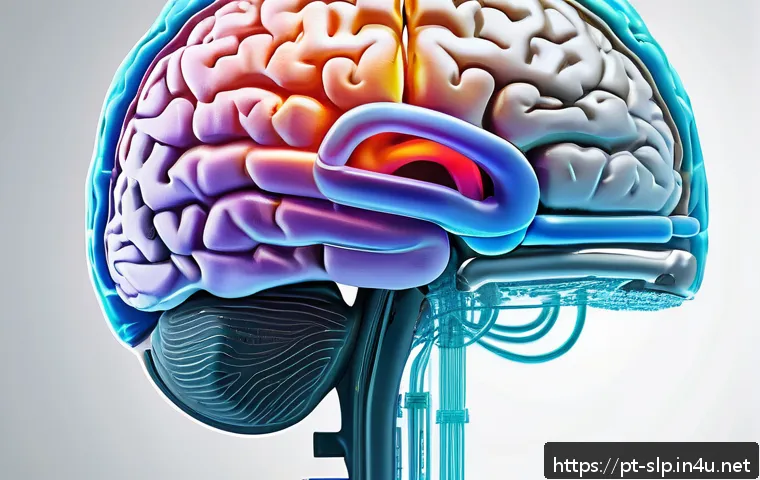 신경과학적 언어 치료 - A detailed medical illustration of the human brain highlighting the Broca&rsquo;s and Wernicke&rsquo;s areas in ...